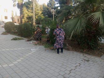 Tərtər şəhəri ərazisində iməclik aksiyası keçirilib