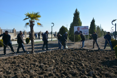 Tərtərdə “Heydər Əliyev İli” çərçivəsində növbəti iməcilik keçirilib