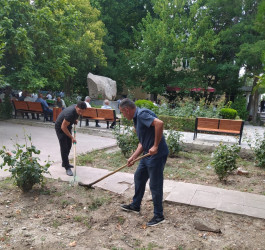 Tərtər şəhəri ərazisində iməclik aksiyası keçirilib