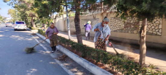 Tərtər şəhəri ərazisində iməclik aksiyası keçirilib