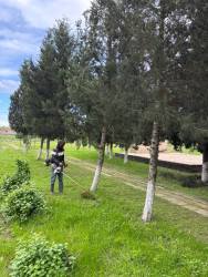 Əskipara kəndində abadlıq və təmizlik işləri görülüb