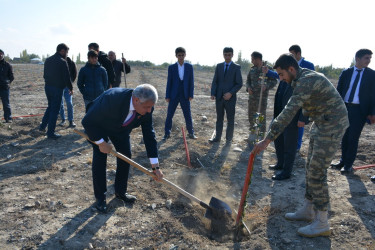 Tərtərdə 8 noyabr - Zəfər Günü münasibəti ilə ağacəkmə aksiyası keçirilib