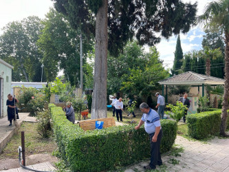 “Yaşıl gələcək naminə” adlı yaşıllaşdırma aksiyası davam etdirilib