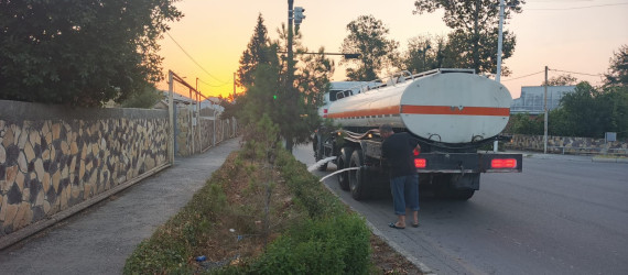 Tərtər şəhəri ərazisində iməclik aksiyası keçirilib