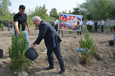 Tərtərdə “Şəhərsalma və Memarlıq İli” çərçivəsində 27 sentyabr Anım gününün altıncı ildönümü ilə əlaqədar ağacəkmə aksiyası keçirilib