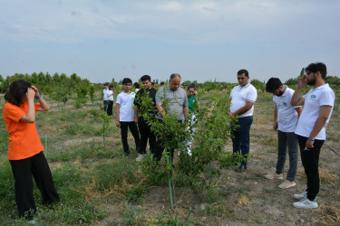 “Heydər Əliyev İli-2023”: rayon rəhbəri “Dayanıqlı Qaydış” gənclərin yay düşərgəsində iştirak edən gənclərlə görüşüb