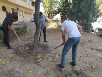 Tərtər şəhəri ərazisində növbəti iməclik aksiyası keçirilib