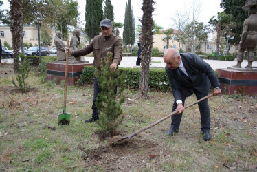Tərtərdə “Konstitusiya və Suverenlik İli” çərçivəsində növbəti ağacəkmə aksiyası keçirilib