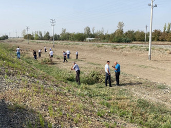 “Yaşıl dünya naminə həmrəylik ili” çərçivəsində növbəti iməcilik Bərdə-Ağdam avtomobil yolunun Tərtər rayonunun Hüsənli kəndinin ərazisində keçirilib