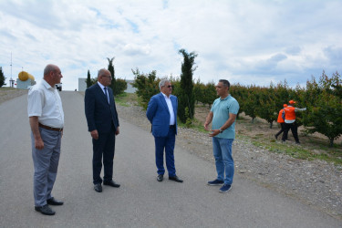 Tərtər Rayon İcra Hakimiyyətinin başçısı "Frutti Agro" MMC-nin intensiv meyvə bağları və müasir suvarma infrastrukturu ilə tanış olub