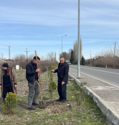 Seydimli kəndində ağacəkmə və təmizlik aksiyası keçirilib
