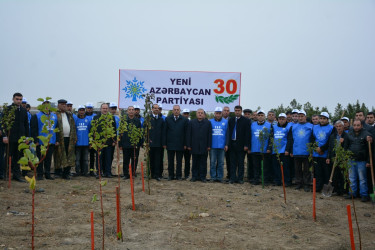 Yeni Azərbaycan Partiyasının təsis edilməsinin  30 illiyi ilə əlaqədar Tərtərdə  ağacəkmə aksiyası keçirilib