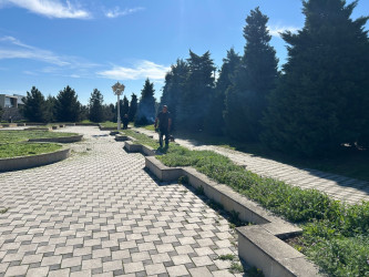 Tərtər şəhəri ərazisində iməclik aksiyası keçirilib