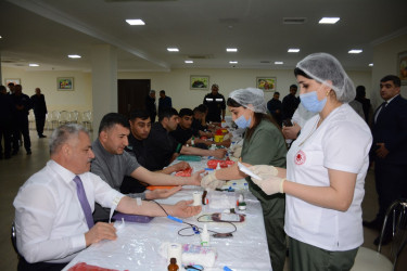 Tərtərdə “Talasemiyasız həyat naminə” proqramı çərçivəsində qanvermə aksiyası keçirilib