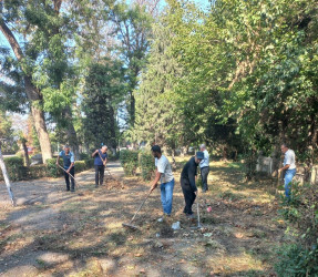 Tərtər şəhəri ərazisində iməclik aksiyası keçirilib