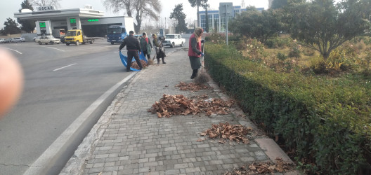 Tərtər şəhəri ərazisində növbəti iməclik aksiyası keçirilib