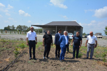 Rayon rəhbəri "FRUİT FOR AZ" MMC-nin intensiv meyvə bağları və müasir suvarma infrastrukturu ilə tanış olub