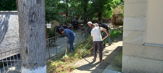 Tərtərdə “Yaşıl dünya naminə həmrəylik ili” çərçivəsində növbəti iməcilik keçirilib