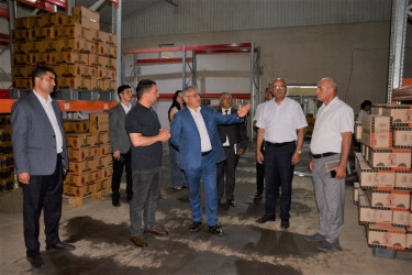 Tərtər Rayon İcra Hakimiyyətinin başçısı Xoruzlu kəndində "PATRON" MMC-yə məxsus günəbaxan tumlarının emalı müəssisəsi ilə tanış olub