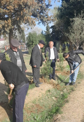 Tərtərdə "Yaşıl dünya naminə həmrəylik ili" çərçivəsində növbəti ağacəkmə aksiyası Borsunlu kəndi ərazisində keçirilib