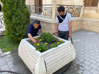 Tərtərdə “Heydər Əliyev İli” çərçivəsində Ulu Öndər Heydər Əliyevin abidəsinin ətrafına və Mərkəzi Meydana gül-çiçək kolları əkilib