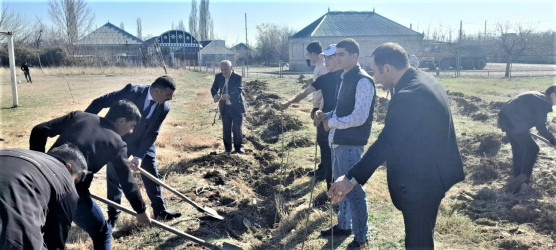 Tərtərdə "Yaşıl dünya naminə həmrəylik ili" çərçivəsində növbəti ağacəkmə aksiyası Borsunlu kəndi ərazisində keçirilib