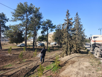 Tərtər rayonu ərazisində növbəti iməclik aksiyası keçirilib