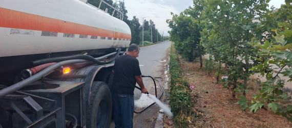 Tərtər şəhəri ərazisində iməclik aksiyası keçirilib
