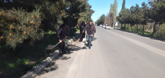 Tərtər şəhəri ərazisində iməclik aksiyası keçirilib