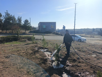 Tərtər rayonu ərazisində növbəti iməclik aksiyası keçirilib