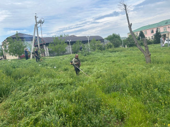 Tərtər şəhəri ərazisində iməclik aksiyası keçirilib