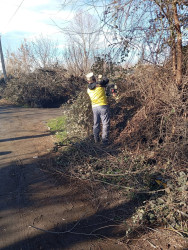 Hüsənli kəndində iməclik aksiyası keçirilib