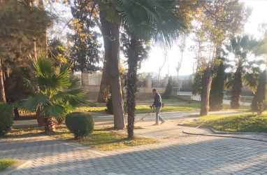 Tərtər şəhəri ərazisində növbəti iməclik aksiyası keçirilib