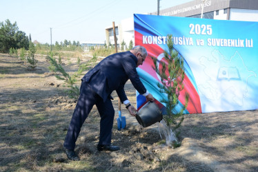 Tərtərdə 8 Noyabr Zəfər Gününün beşinci ildönümü ilə əlaqədar ağacəkmə aksiyası keçirilib
