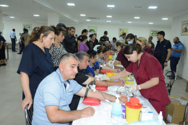 Tərtərdə “Talasemiyasız həyat naminə” proqramı çərçivəsində qanvermə aksiyası keçirilib