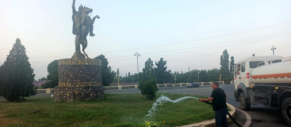 Tərtər şəhəri ərazisində iməclik aksiyası keçirilib