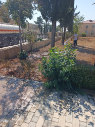 Tərtər şəhəri ərazisində növbəti iməclik aksiyası keçirilib