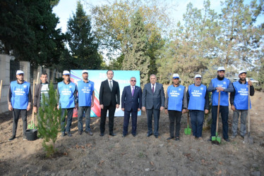 Tərtərdə “Konstitusiya və Suverenlik İli” çərçivəsində 8 Noyabr Zəfər Gününün beşinci ildönümü ilə əlaqədar ağacəkmə aksiyası keçirilib