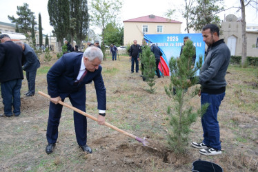 Tərtərdə “Konstitusiya və Suverenlik İli” çərçivəsində növbəti ağacəkmə aksiyası keçirilib