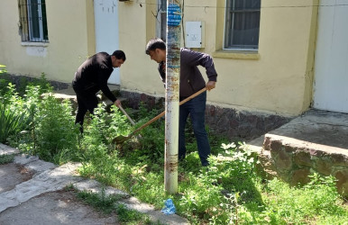 Tərtərdə “Yaşıl dünya naminə həmrəylik ili” çərçivəsində növbəti iməcilik keçirilib