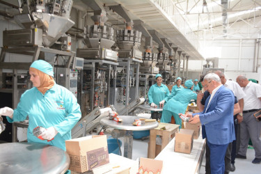 Tərtər Rayon İcra Hakimiyyətinin başçısı Xoruzlu kəndində "PATRON" MMC-yə məxsus günəbaxan tumlarının emalı müəssisəsi ilə tanış olub
