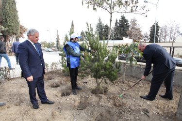 Tərtərdə “Heydər Əliyev ili” çərçivəsində növbəti ağacəkmə aksiyası keçirilib