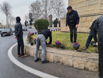 Tərtər şəhəri ərazisində gül və çiçək kolları əkilib