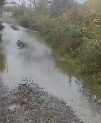 Cəmilli kənd sakininin müraciəti həll olunub