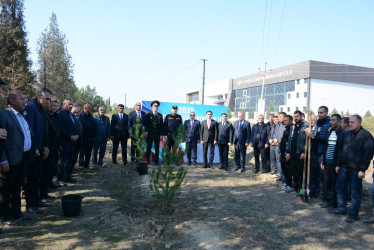 Tərtərdə 8 Noyabr Zəfər Gününün beşinci ildönümü ilə əlaqədar ağacəkmə aksiyası keçirilib
