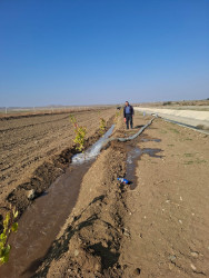 8 Noyabr Zəfər Gününün beşinci ildönümü ilə əlaqədar ağacəkmə aksiyası davam etdirilir