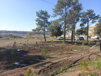 Tərtər rayonu ərazisində növbəti iməclik aksiyası keçirilib