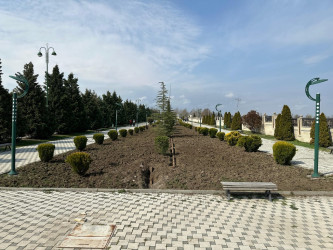 Tərtər şəhəri ərazisində iməclik aksiyası keçirilib