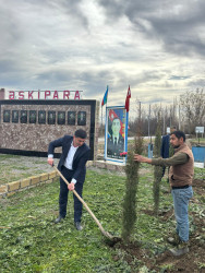 Əskipara kəndində ağacəkmə və təmizlik aksiyası keçirilib
