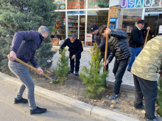 Tərtərdə 20 yanvar faciəsinin 35-ci il dönümü ilə əlaqədar  ağacəkmə aksiyası keçirilib